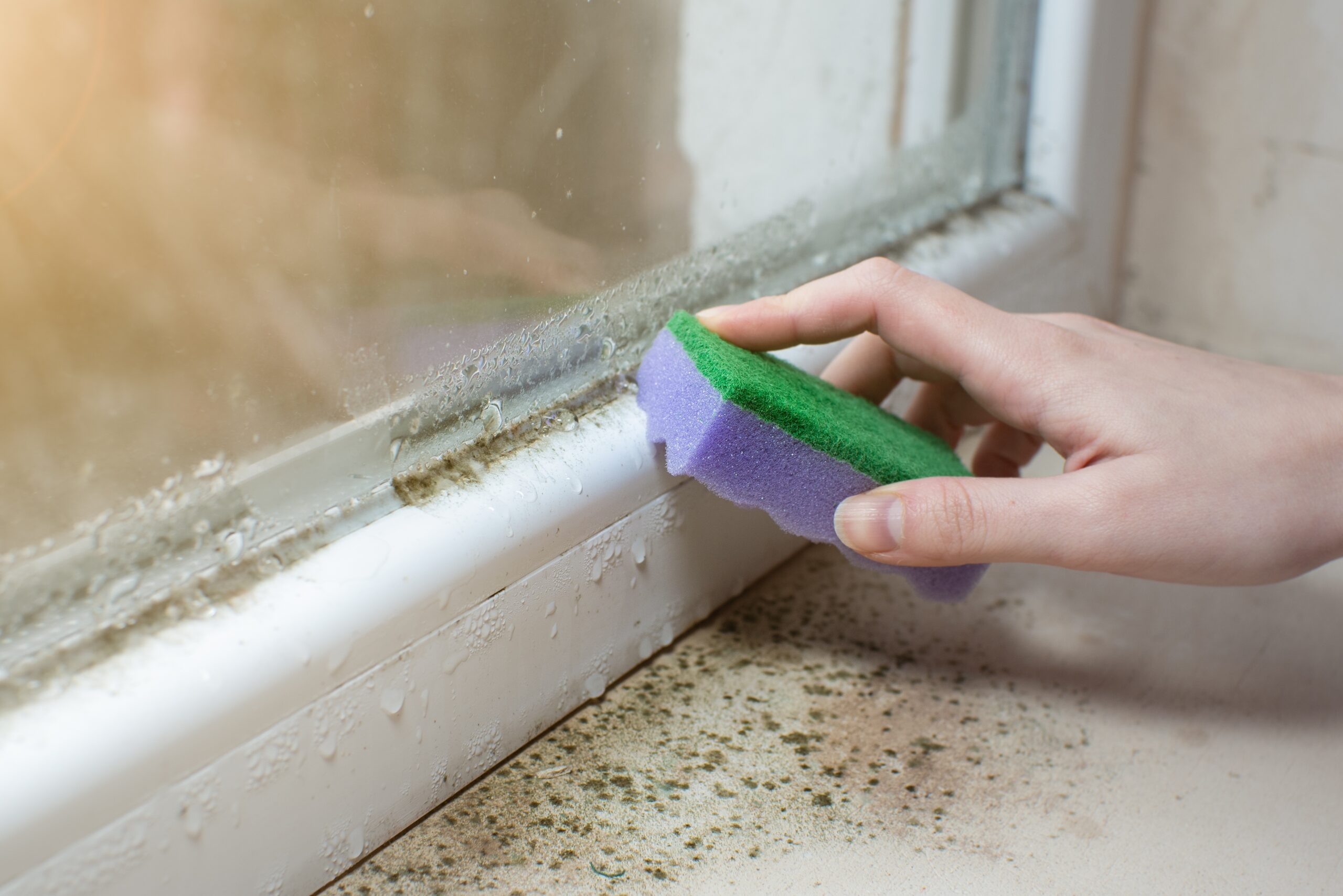 how-to-get-rid-of-black-mold-in-the-shower-home-biotesting